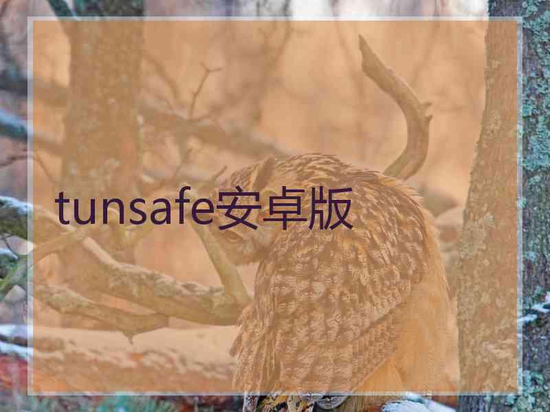 tunsafe安卓版