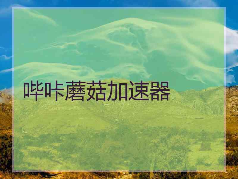 哔咔蘑菇加速器