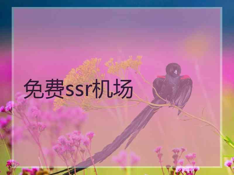 免费ssr机场