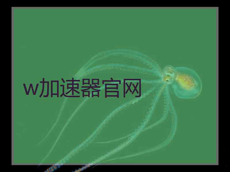w加速器官网