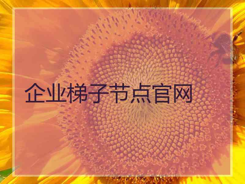 企业梯子节点官网