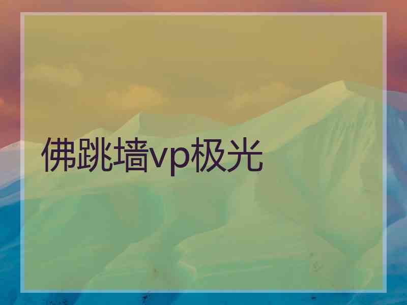 佛跳墙vp极光