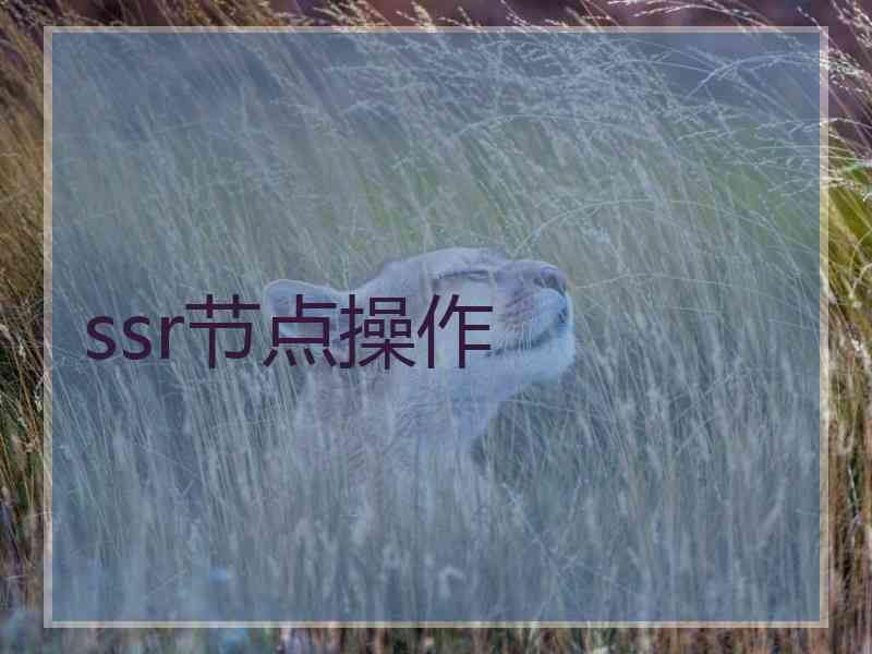 ssr节点操作