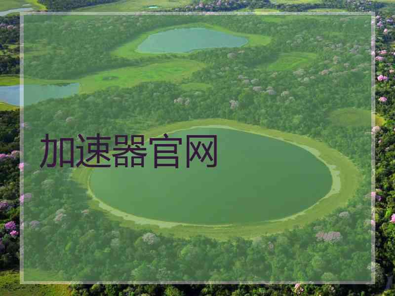 加速器官网