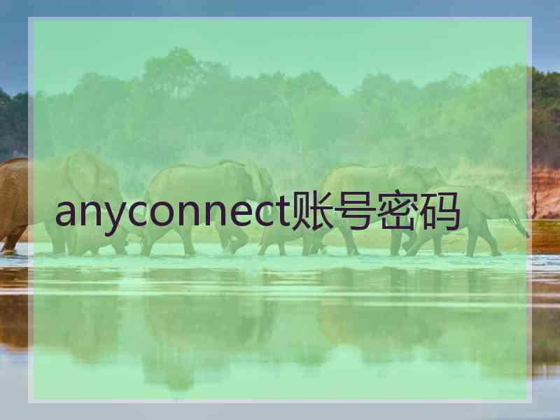 anyconnect账号密码