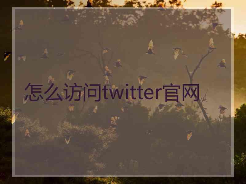 怎么访问twitter官网