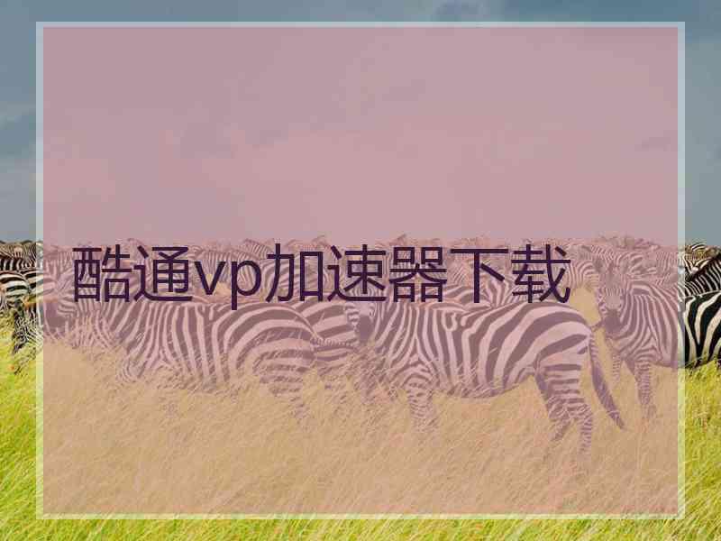 酷通vp加速器下载