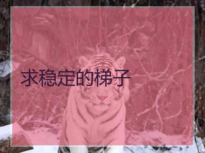 求稳定的梯子