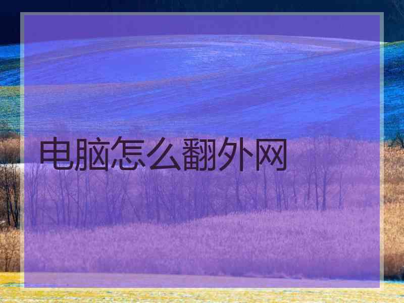 电脑怎么翻外网