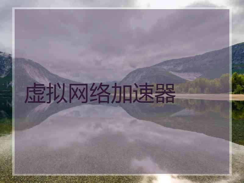 虚拟网络加速器