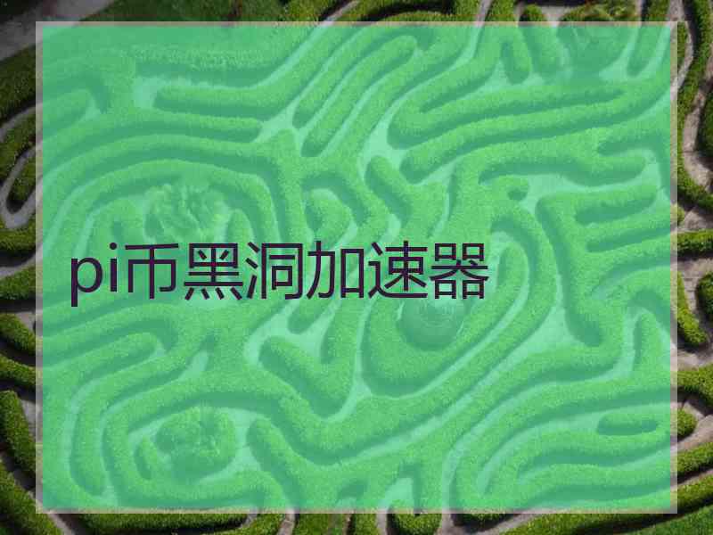 pi币黑洞加速器
