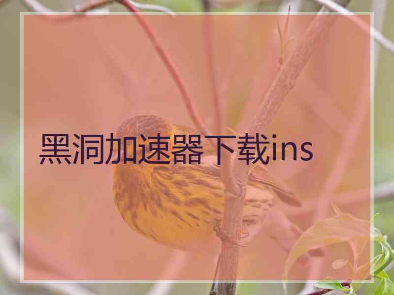 黑洞加速器下载ins