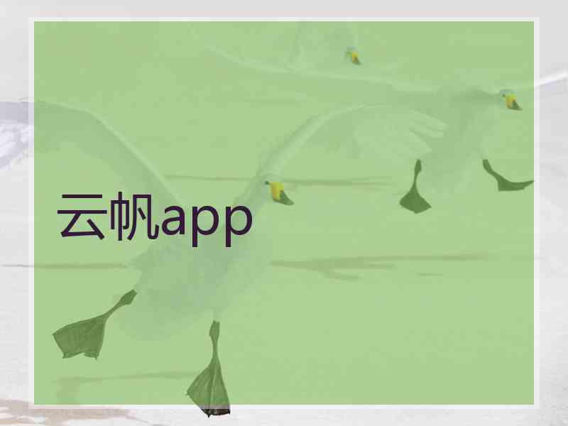 云帆app