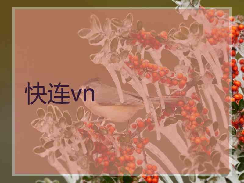 快连vn