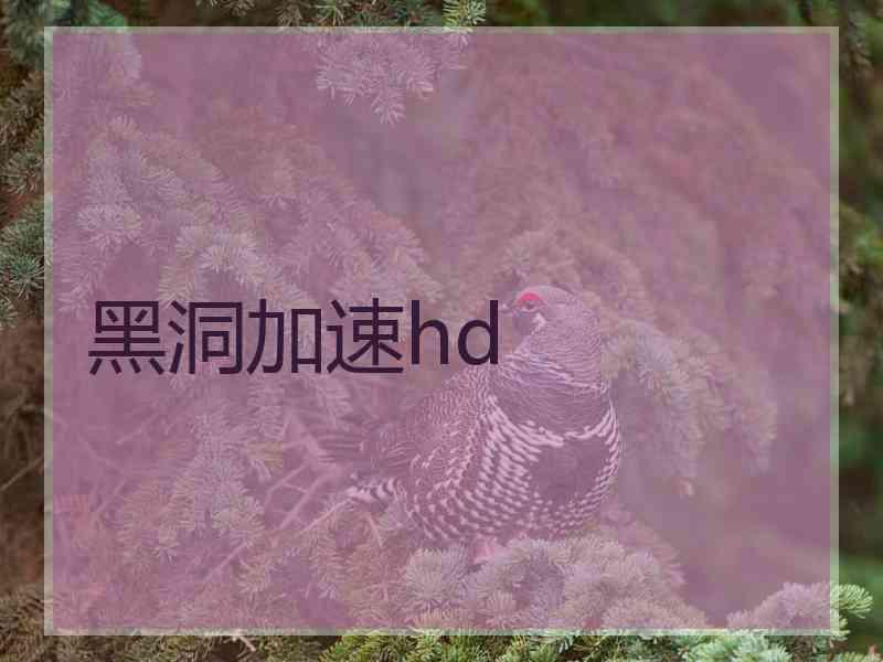 黑洞加速hd