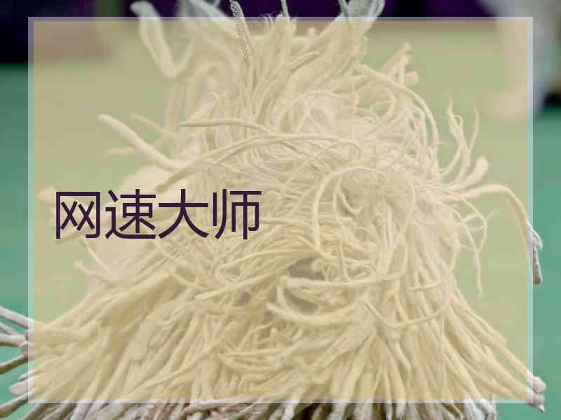 网速大师