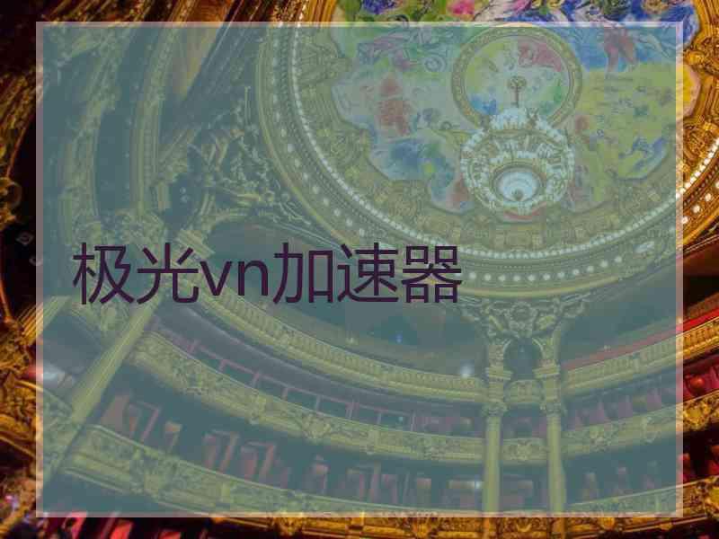极光vn加速器