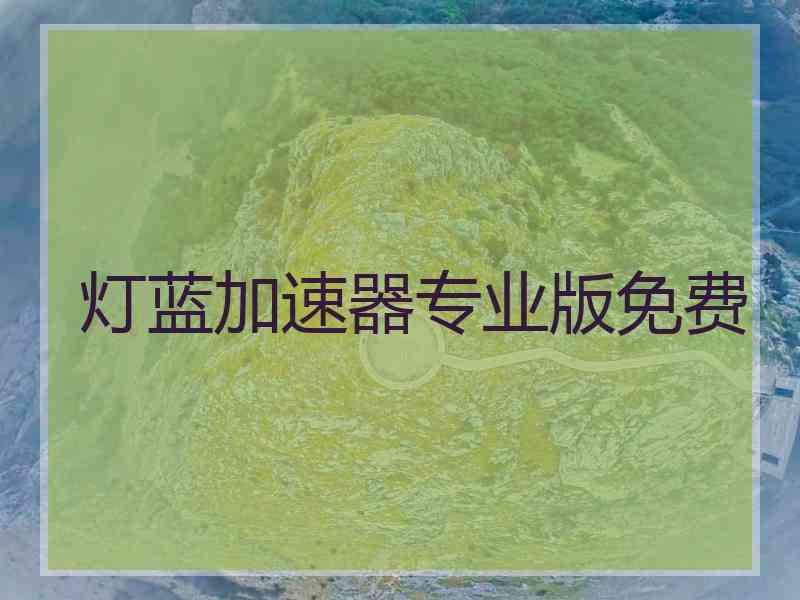 灯蓝加速器专业版免费