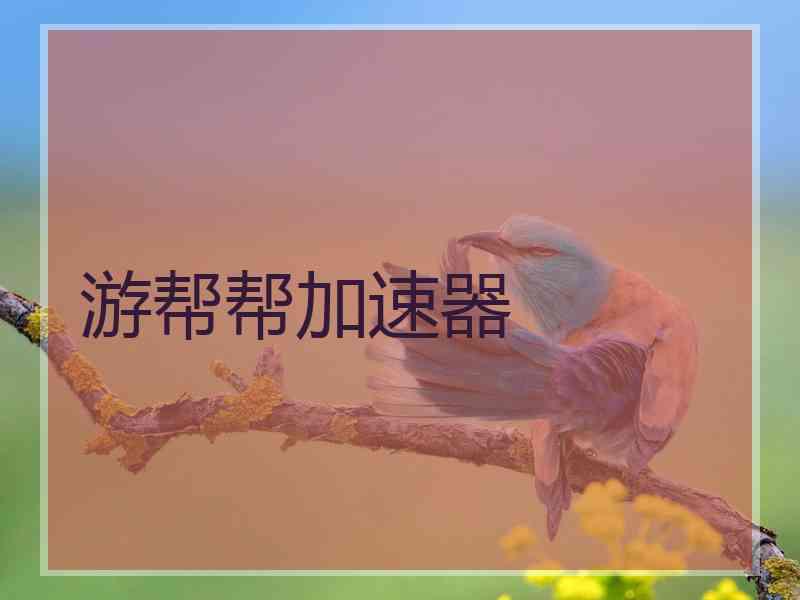 游帮帮加速器
