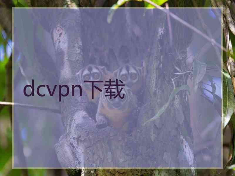 dcvpn下载