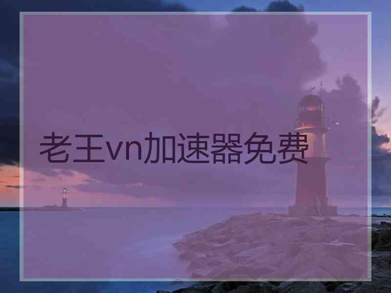 老王vn加速器免费