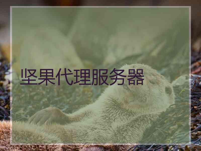 坚果代理服务器