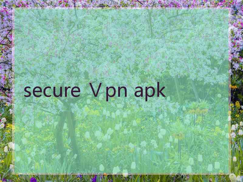 secure Ⅴpn apk