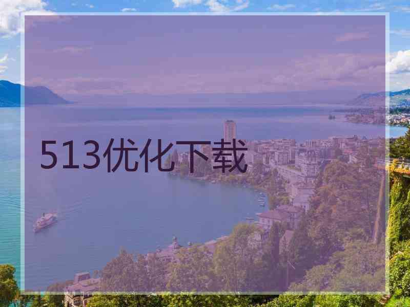 513优化下载