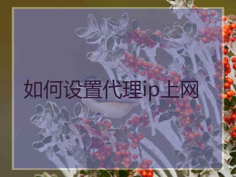 如何设置代理ip上网