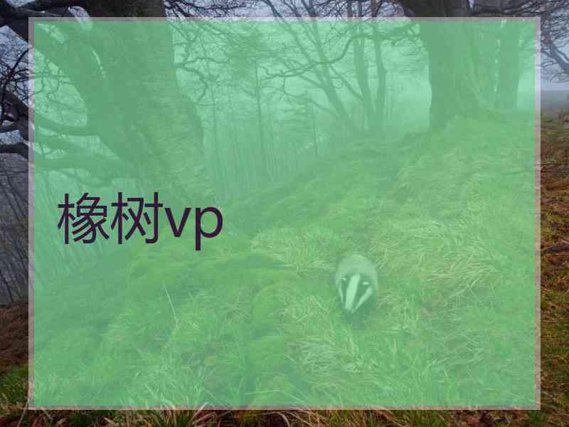橡树vp