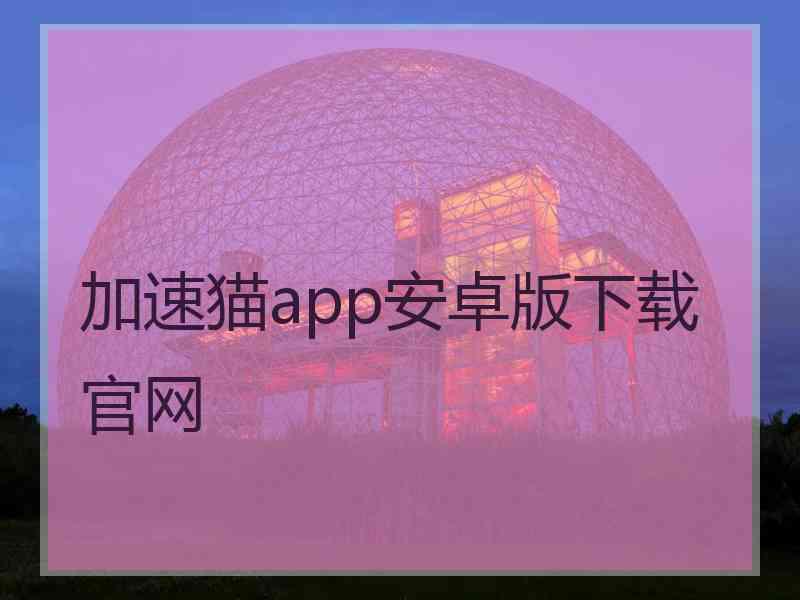 加速猫app安卓版下载官网