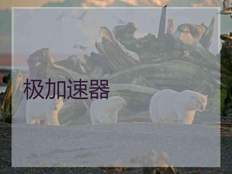 极加速器