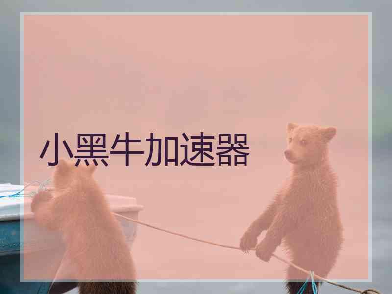 小黑牛加速器