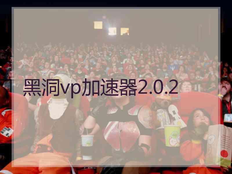 黑洞vp加速器2.0.2