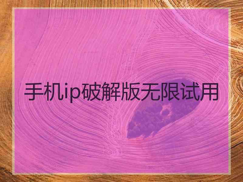 手机ip破解版无限试用