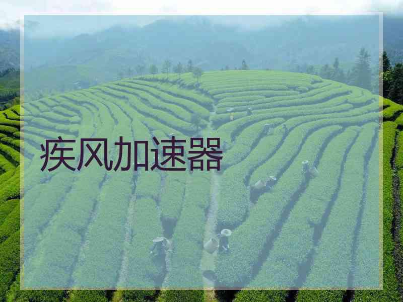 疾风加速器