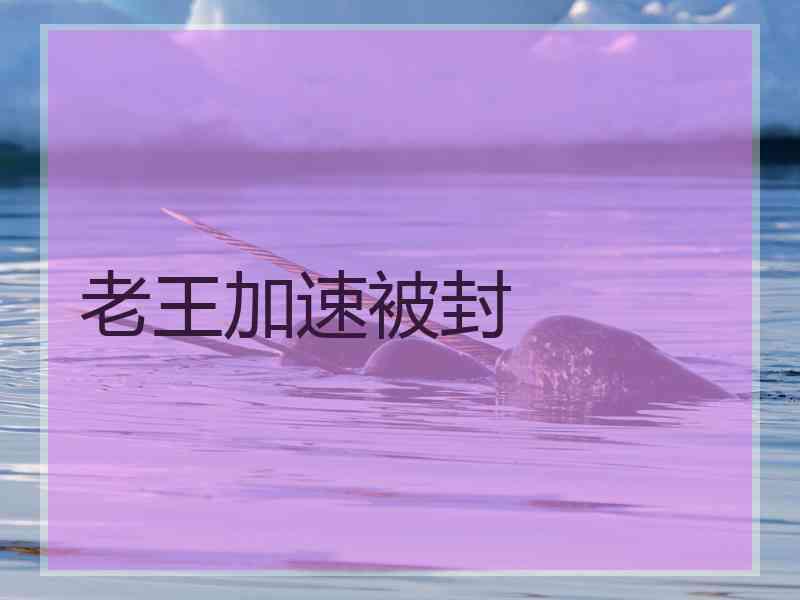 老王加速被封