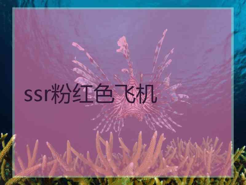 ssr粉红色飞机