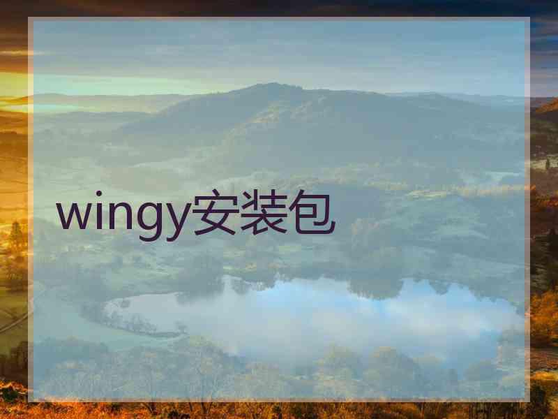 wingy安装包