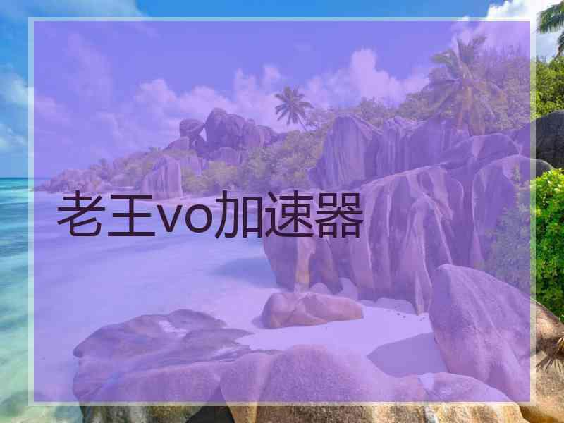 老王vo加速器