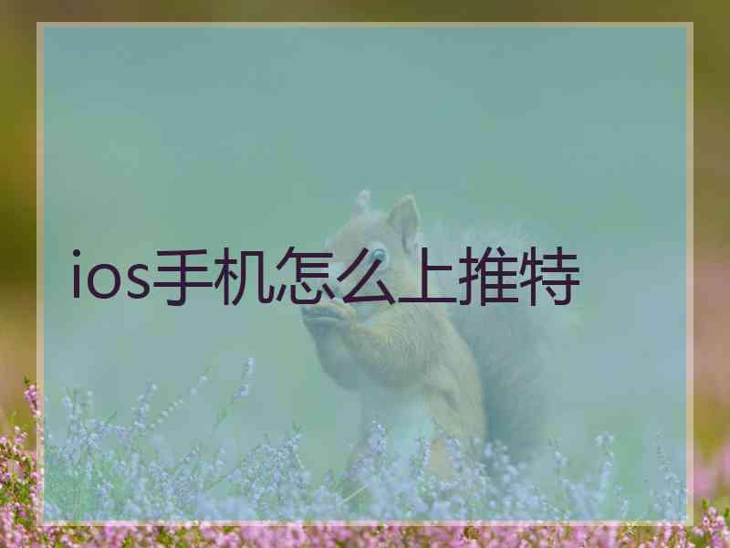 ios手机怎么上推特