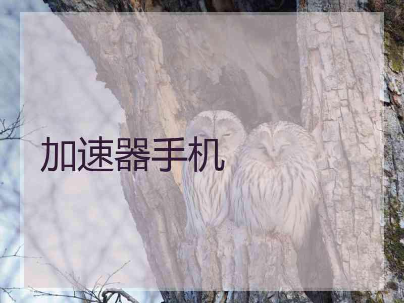 加速器手机