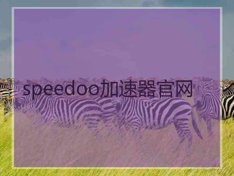 speedoo加速器官网