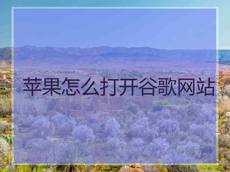 苹果怎么打开谷歌网站