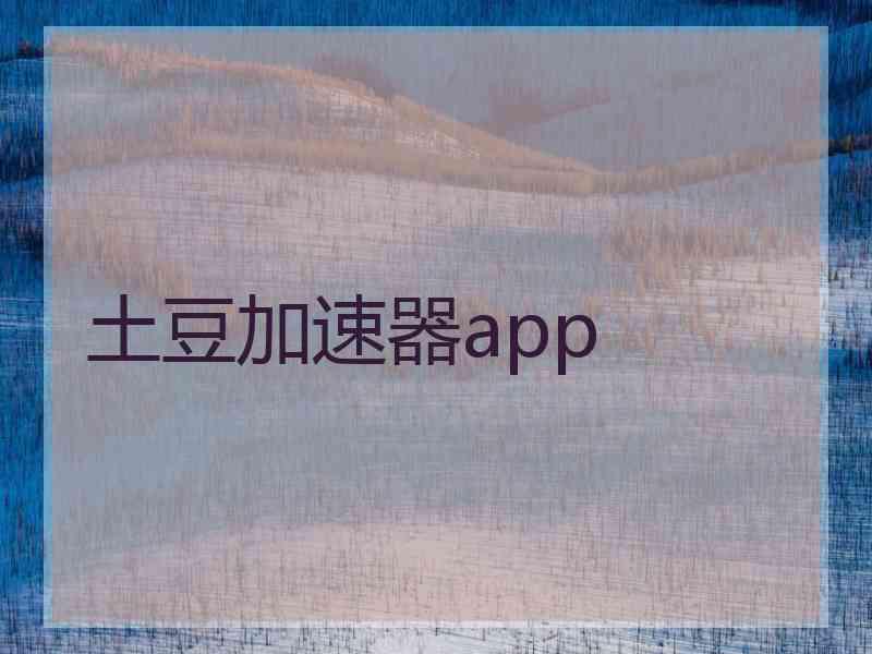 土豆加速器app