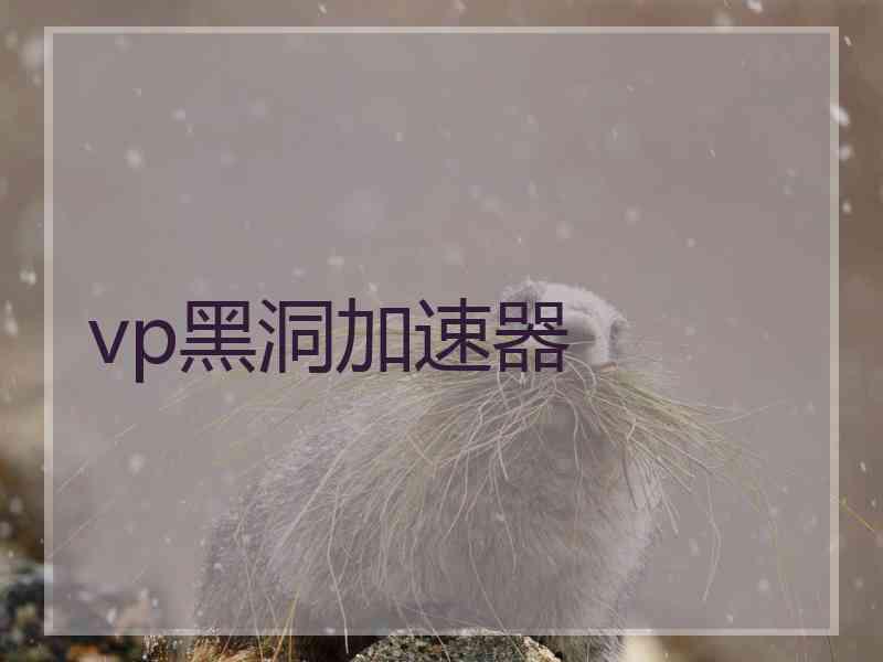 vp黑洞加速器