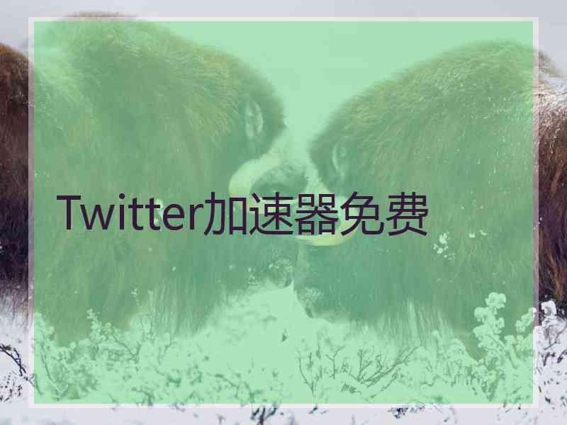 Twitter加速器免费