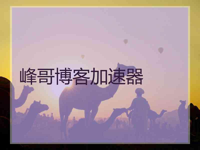 峰哥博客加速器