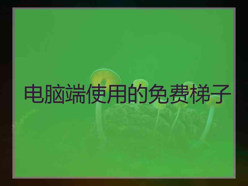 电脑端使用的免费梯子