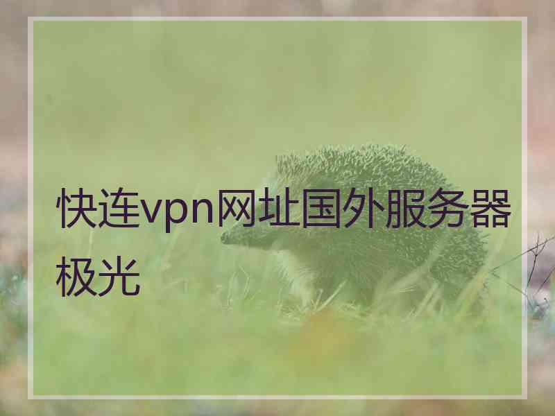 快连vpn网址国外服务器极光